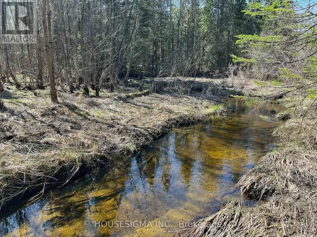 Con 14 Pt Lot 17 Ward: 01 Buller Road, Kawartha Lakes (Somerville)